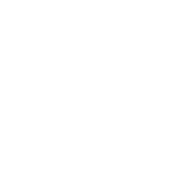 Meat image